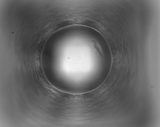 X0000067831058200604171121