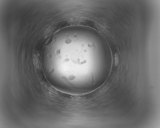 X0000067831059200604171121