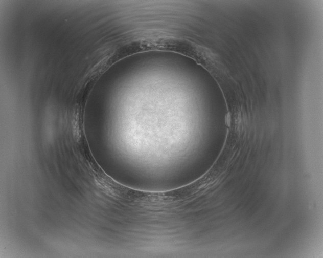 X0000067831060200604171121