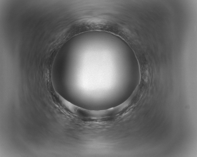 X0000067831061200604171121