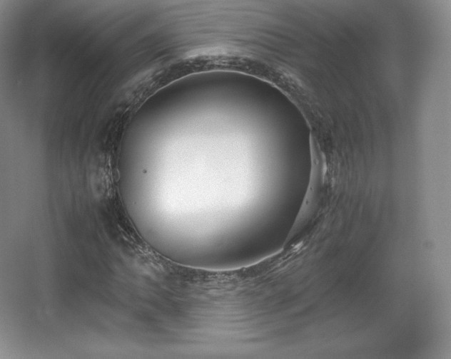 X0000067831062200604171121