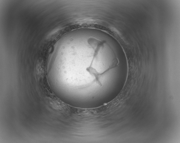 X0000067831063200604171121