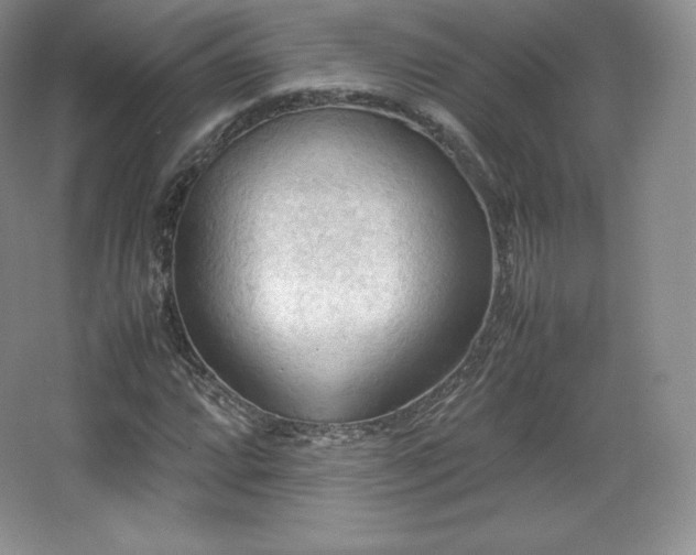 X0000067831064200604171121