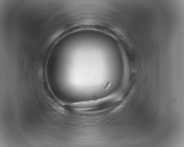 X0000067831065200604171121