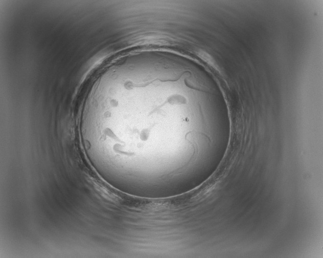 X0000067831067200604171121