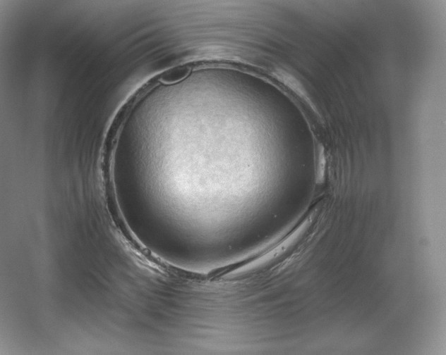 X0000067831068200604171121