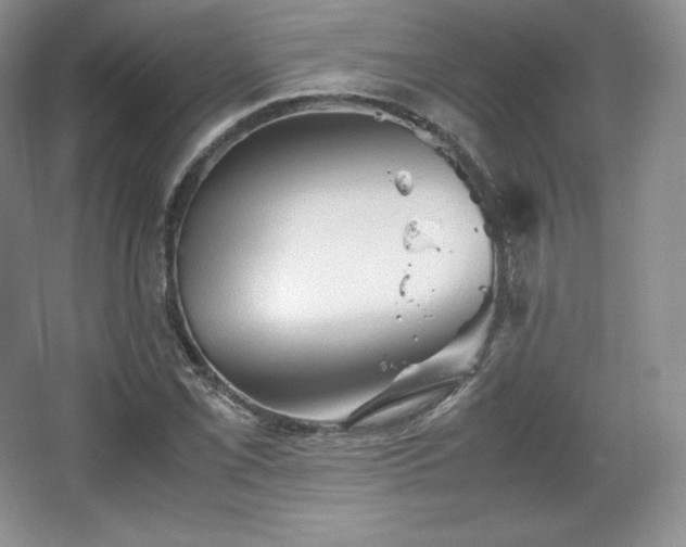 X0000067831069200604171121