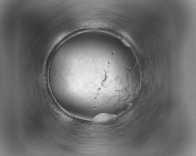 X0000067831071200604171121