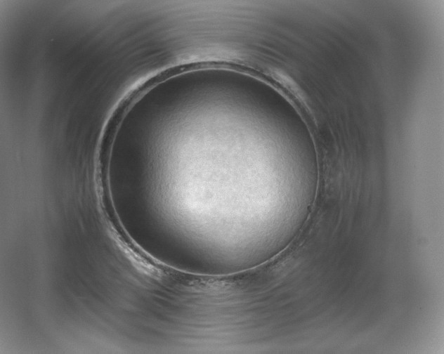 X0000067831072200604171121