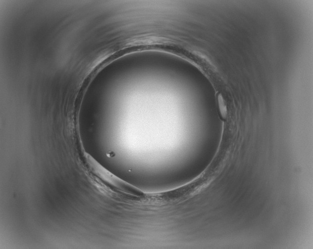 X0000067831073200604171121