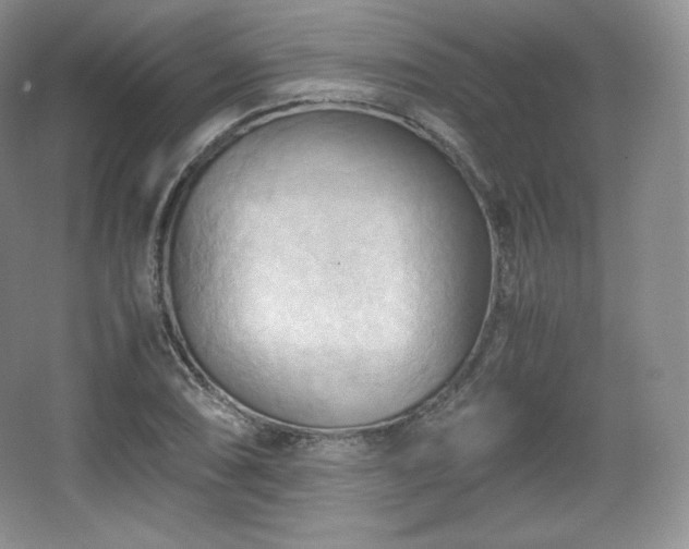 X0000067831074200604171121