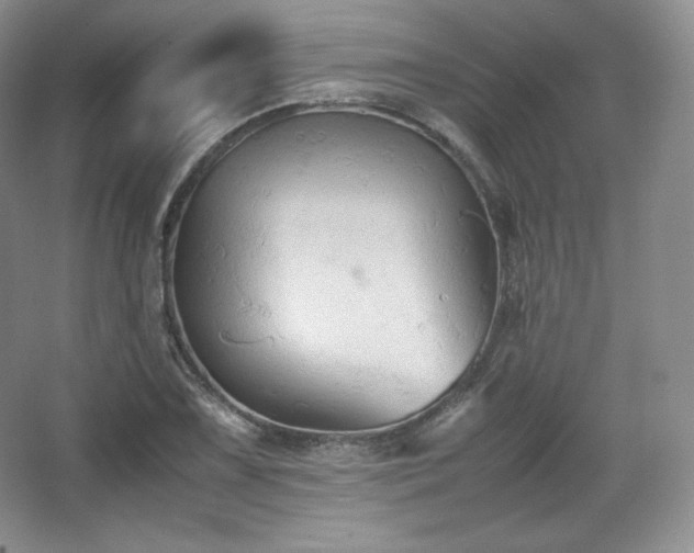 X0000067831075200604171121