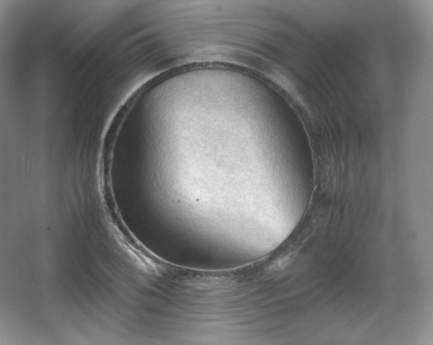 X0000067831076200604171121