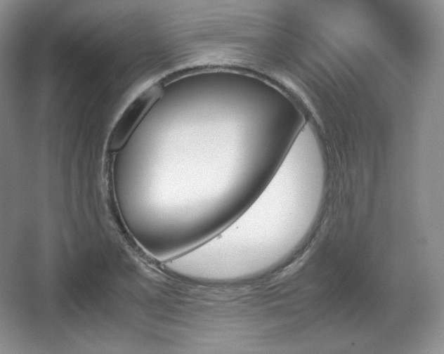 X0000067831077200604171121