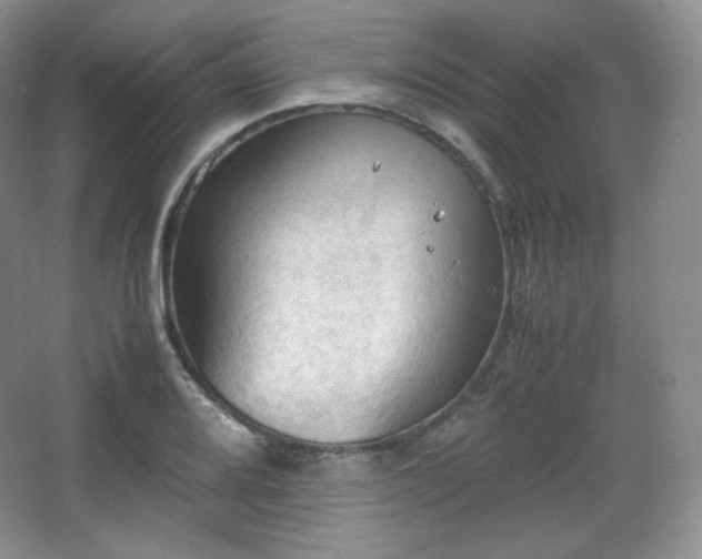 X0000067831080200604171121