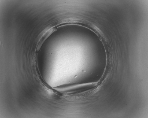 X0000067831081200604171121