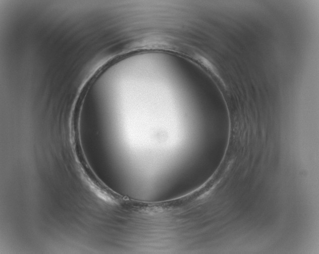 X0000067831082200604171121