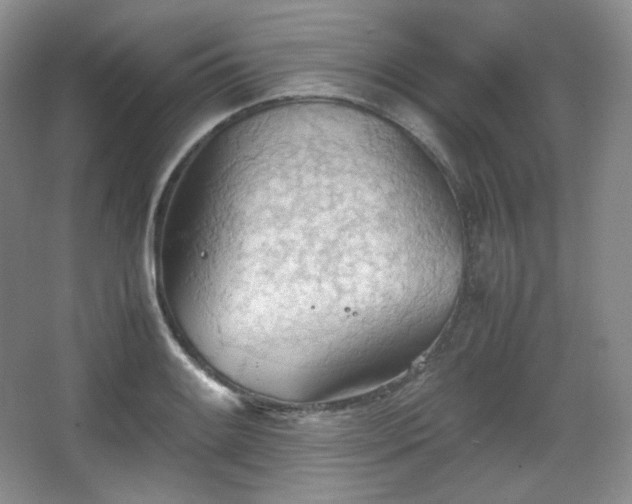 X0000067831084200604171121