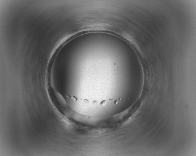 X0000067831085200604171121