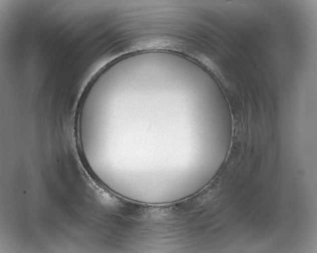 X0000067831086200604171121