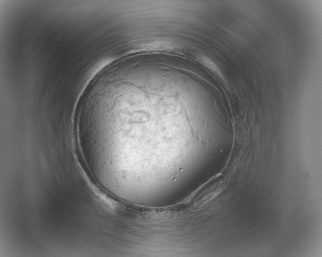 X0000067831087200604171121