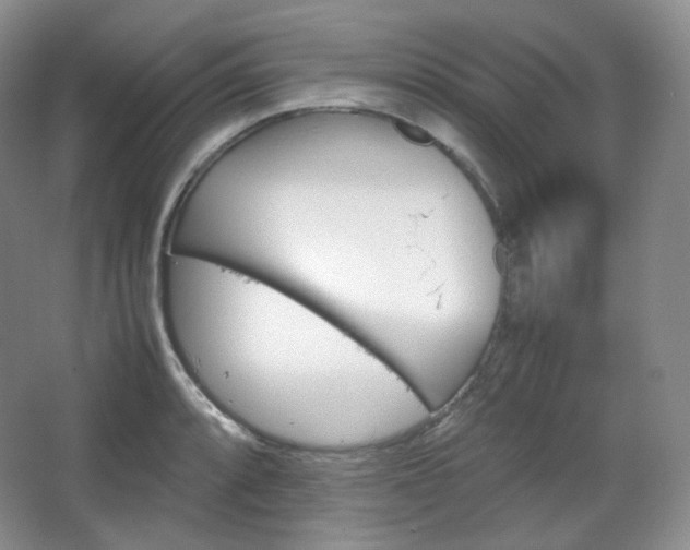 X0000067831088200604171121