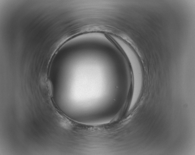 X0000067831089200604171121