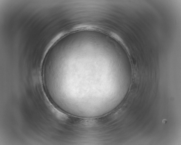 X0000067831090200604171121