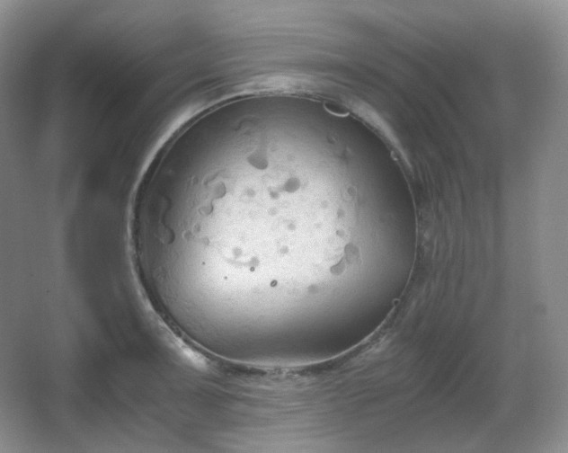 X0000067831091200604171120