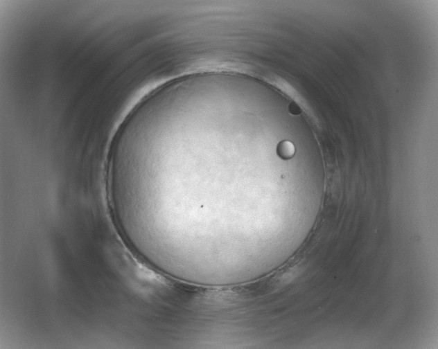 X0000067831094200604171120