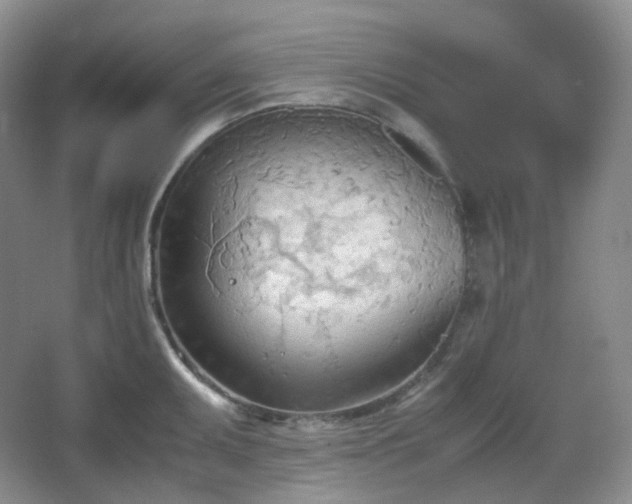 X0000067831095200604171120