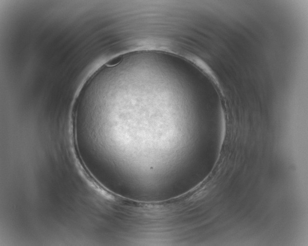 X0000067831096200604171120