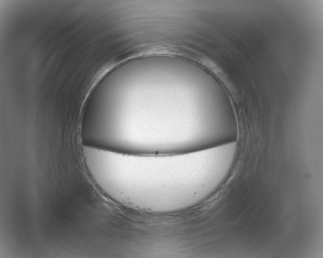 X0000067831097200604171120