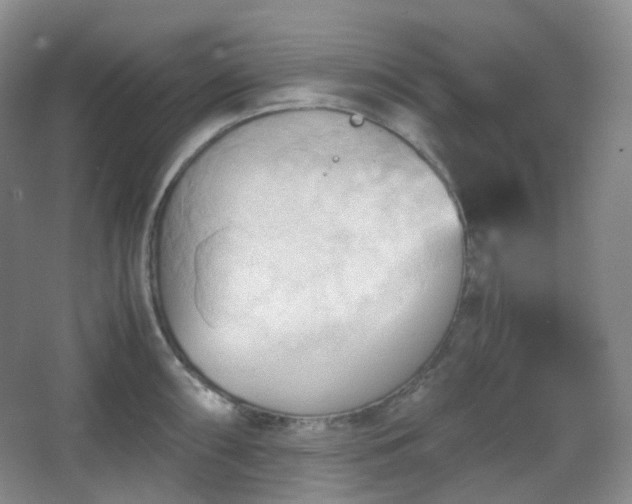 X0000067831098200604171120