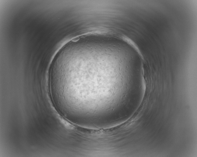 X0000067831099200604171120