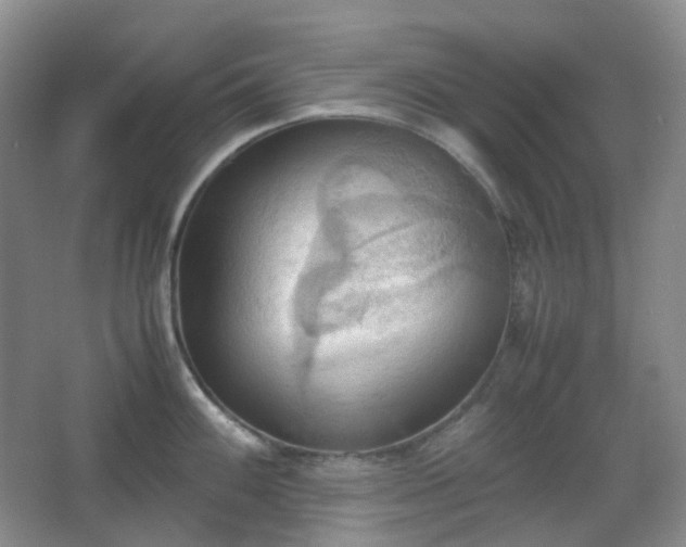 X0000067831100200604171120