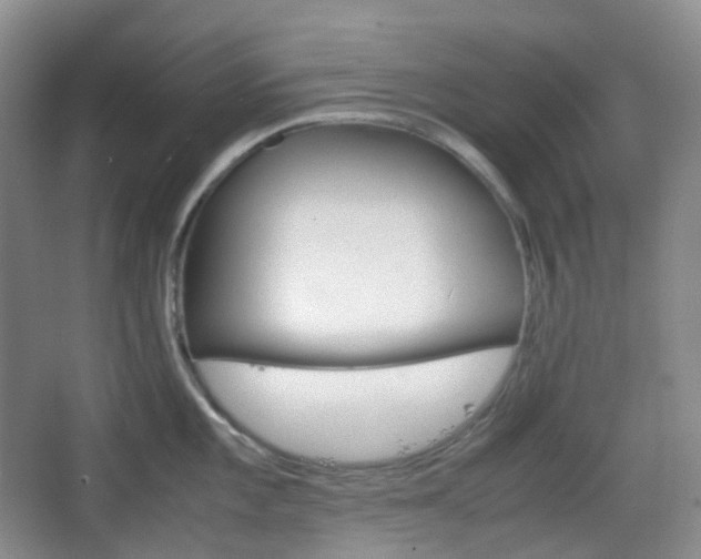 X0000067831101200604171120