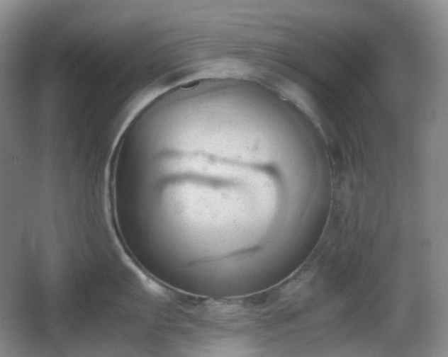 X0000067831103200604171120