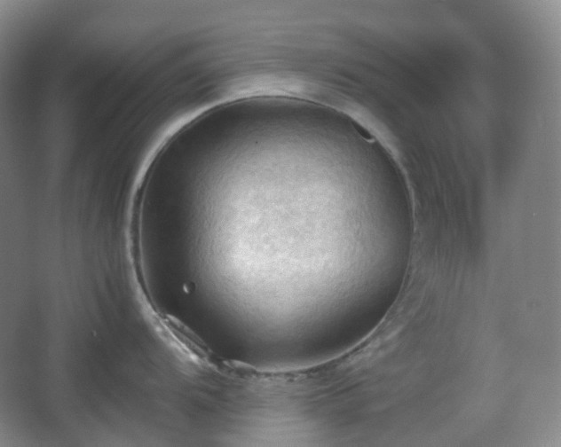 X0000067831104200604171120