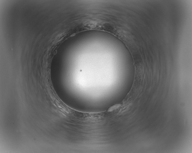 X0000067831105200604171119