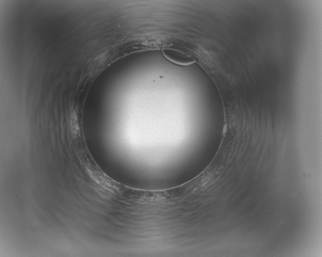 X0000067831106200604171119