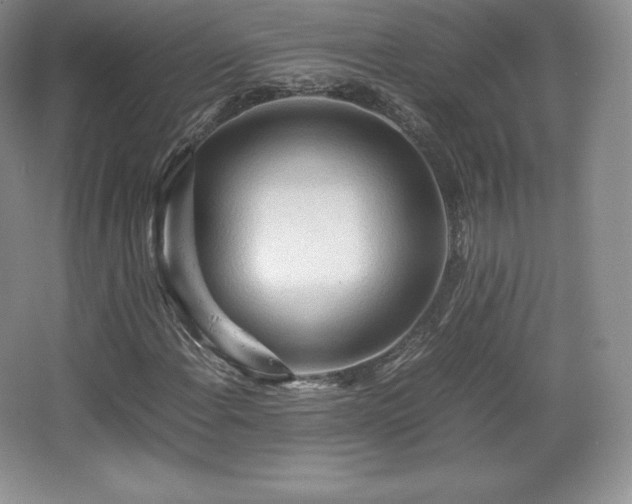 X0000067831108200604171120