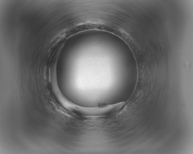 X0000067831110200604171120