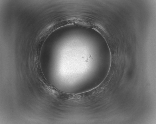 X0000067831111200604171120