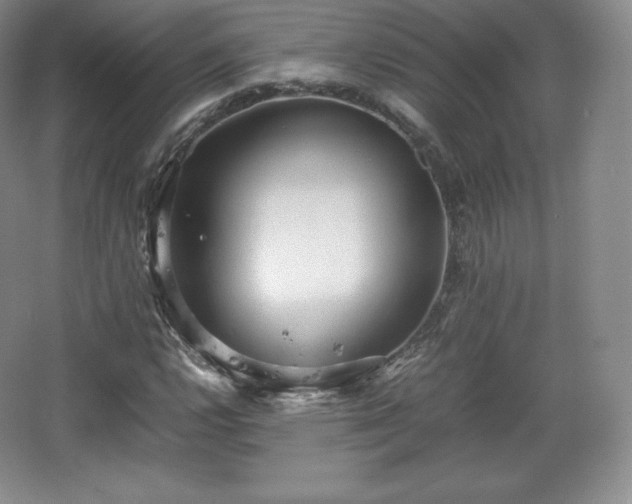 X0000067831112200604171120