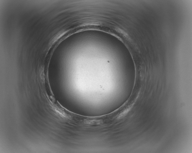 X0000067831113200604171120