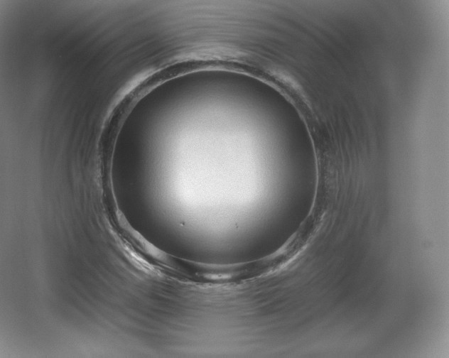 X0000067831114200604171120