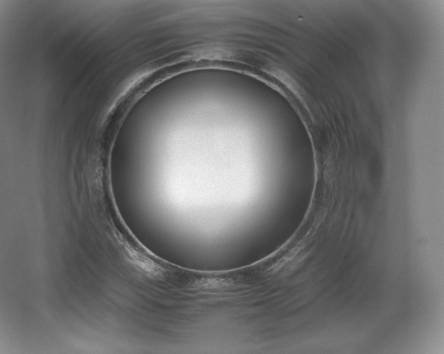 X0000067831115200604171120