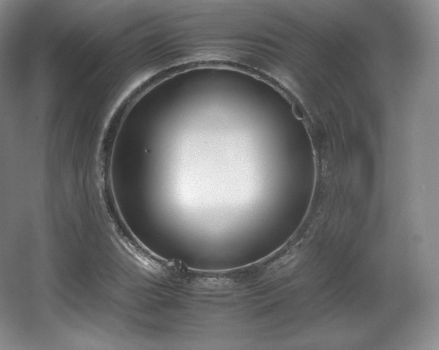 X0000067831119200604171120