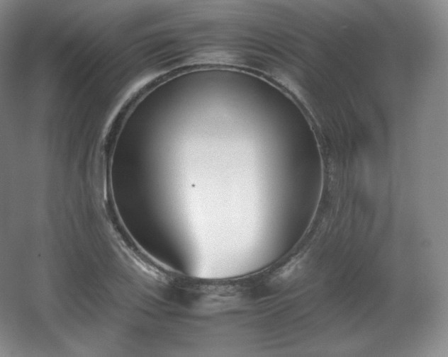 X0000067831123200604171120